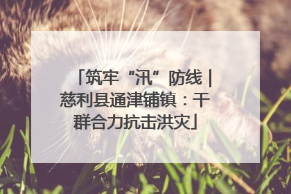 筑牢“汛”防线｜慈利县通津铺镇：干群合力抗击洪灾