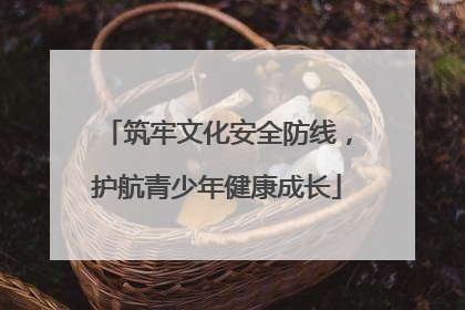 筑牢文化安全防线，护航青少年健康成长