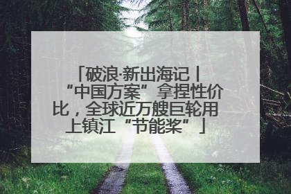 破浪·新出海记丨 “中国方案”拿捏性价比，全球近万艘巨轮用上镇江“节能桨”
