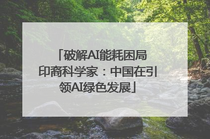 破解AI能耗困局 印裔科学家：中国在引领AI绿色发展