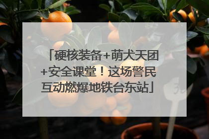 硬核装备+萌犬天团+安全课堂！这场警民互动燃爆地铁台东站