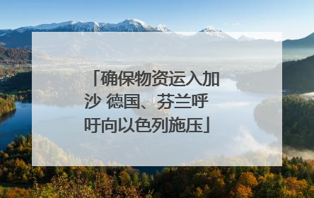 确保物资运入加沙 德国、芬兰呼吁向以色列施压