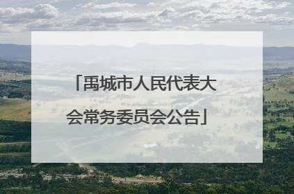 禹城市人民代表大会常务委员会公告