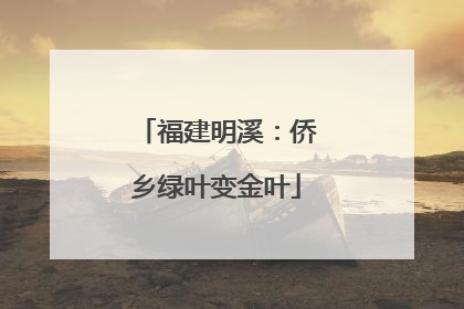 福建明溪：侨乡绿叶变金叶