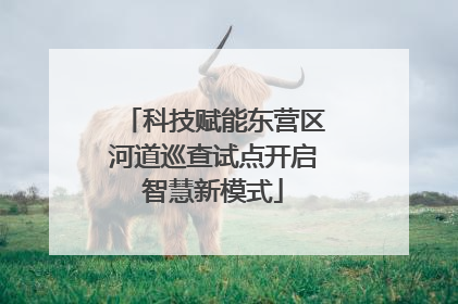 科技赋能东营区河道巡查试点开启智慧新模式