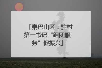 秦巴山区：驻村第一书记“组团服务”促振兴