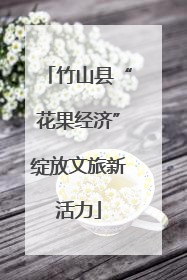 竹山县“花果经济”绽放文旅新活力