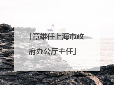 章雄任上海市政府办公厅主任
