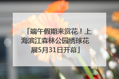 端午假期来赏花！上海滨江森林公园绣球花展5月31日开幕
