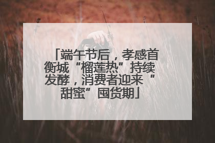 端午节后，孝感首衡城“榴莲热”持续发酵，消费者迎来“甜蜜”囤货期