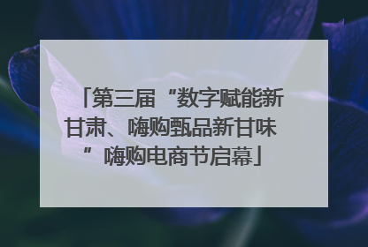 第三届“数字赋能新甘肃、嗨购甄品新甘味”嗨购电商节启幕