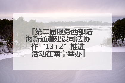 第二届服务西部陆海新通道建设司法协作“13+2”推进活动在南宁举办