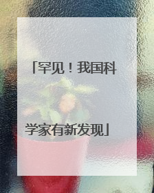 罕见！我国科学家有新发现