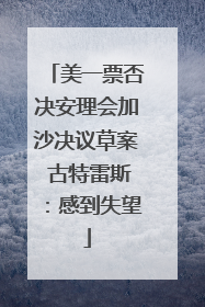 美一票否决安理会加沙决议草案 古特雷斯：感到失望