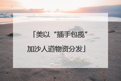 美以“插手包揽”加沙人道物资分发