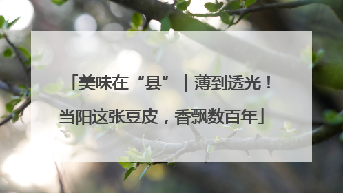 美味在“县”｜薄到透光！当阳这张豆皮，香飘数百年