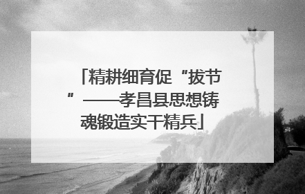 精耕细育促“拔节”——孝昌县思想铸魂锻造实干精兵