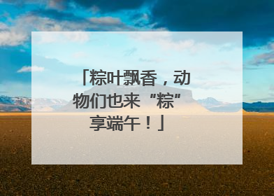 粽叶飘香，动物们也来“粽”享端午！