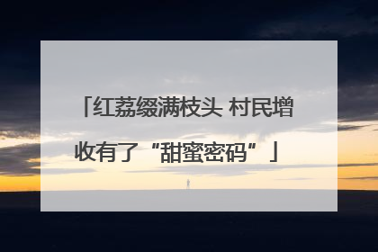 红荔缀满枝头 村民增收有了“甜蜜密码”