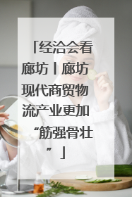 经洽会看廊坊丨廊坊现代商贸物流产业更加“筋强骨壮”