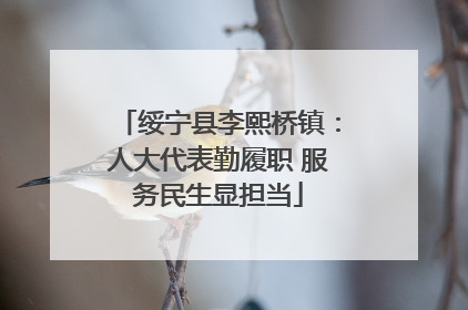 绥宁县李熙桥镇：人大代表勤履职 服务民生显担当