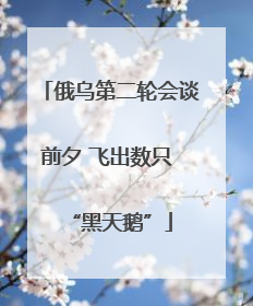 俄乌第二轮会谈前夕 飞出数只 “黑天鹅”