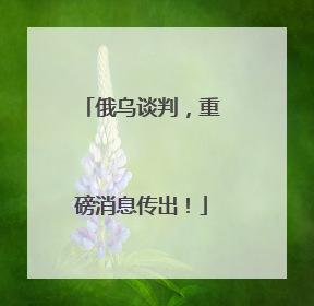俄乌谈判，重磅消息传出！
