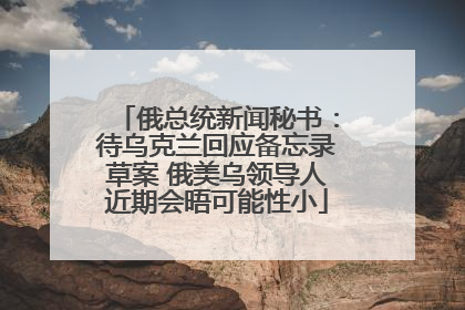 俄总统新闻秘书：待乌克兰回应备忘录草案 俄美乌领导人近期会晤可能性小