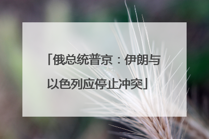 俄总统普京：伊朗与以色列应停止冲突