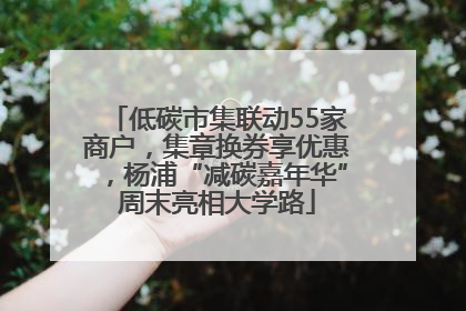 低碳市集联动55家商户，集章换券享优惠，杨浦“减碳嘉年华”周末亮相大学路