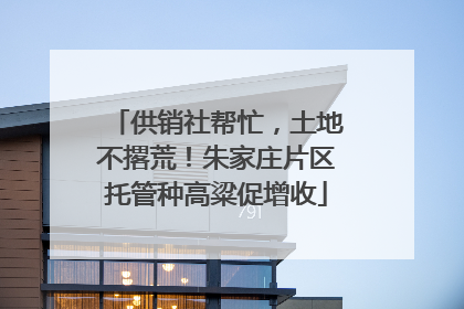 供销社帮忙，土地不撂荒！朱家庄片区托管种高粱促增收