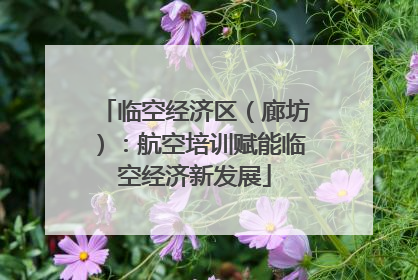 临空经济区（廊坊）：航空培训赋能临空经济新发展