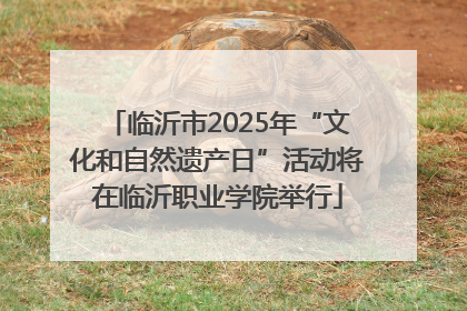 临沂市2025年“文化和自然遗产日”活动将在临沂职业学院举行