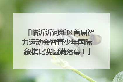 临沂沂河新区首届智力运动会暨青少年国际象棋比赛圆满落幕！