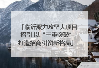 临沂聚力攻坚大项目招引 以“三重突破”打造招商引资新格局