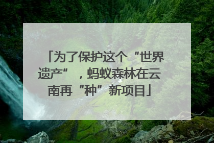 为了保护这个“世界遗产”，蚂蚁森林在云南再“种”新项目