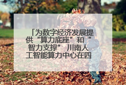 为数字经济发展提供“算力底座”和“智力支撑” 川南人工智能算力中心在四川泸州启动