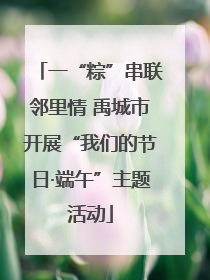 一“粽”串联邻里情 禹城市开展“我们的节日·端午”主题活动