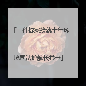 一件提案绘就十年环境司法护航长卷→