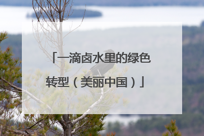 一滴卤水里的绿色转型（美丽中国）