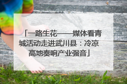 一路生花——媒体看青城活动走进武川县：冷凉高地奏响产业强音