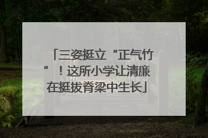 三姿挺立“正气竹”！这所小学让清廉在挺拔脊梁中生长
