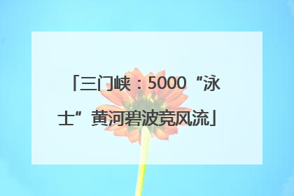 三门峡：5000“泳士”黄河碧波竞风流