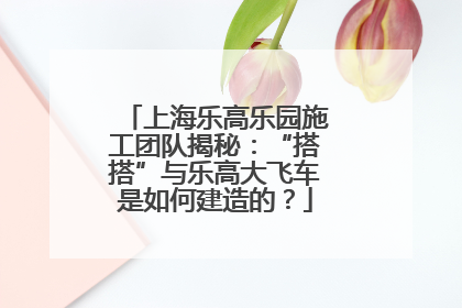 上海乐高乐园施工团队揭秘：“搭搭”与乐高大飞车是如何建造的？