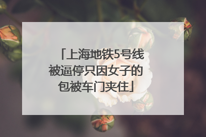 上海地铁5号线被逼停只因女子的包被车门夹住