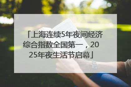 上海连续5年夜间经济综合指数全国第一，2025年夜生活节启幕