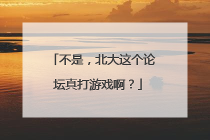 不是，北大这个论坛真打游戏啊？