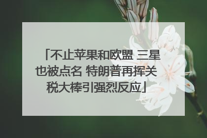 不止苹果和欧盟 三星也被点名 特朗普再挥关税大棒引强烈反应