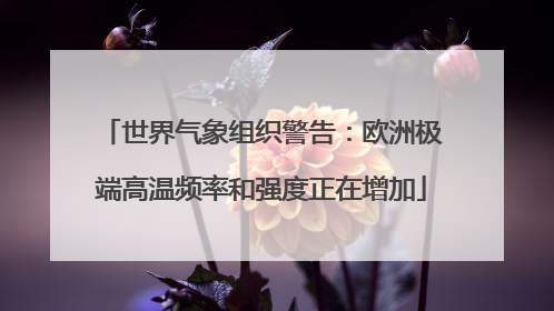 世界气象组织警告：欧洲极端高温频率和强度正在增加