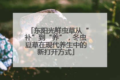 东阳光鲜虫草从“补”到“养”，冬虫夏草在现代养生中的新打开方式